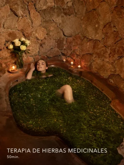 Terapia de Hierbas Medicinales 1 persona