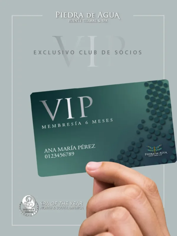 Membresía VIP - 6 Meses