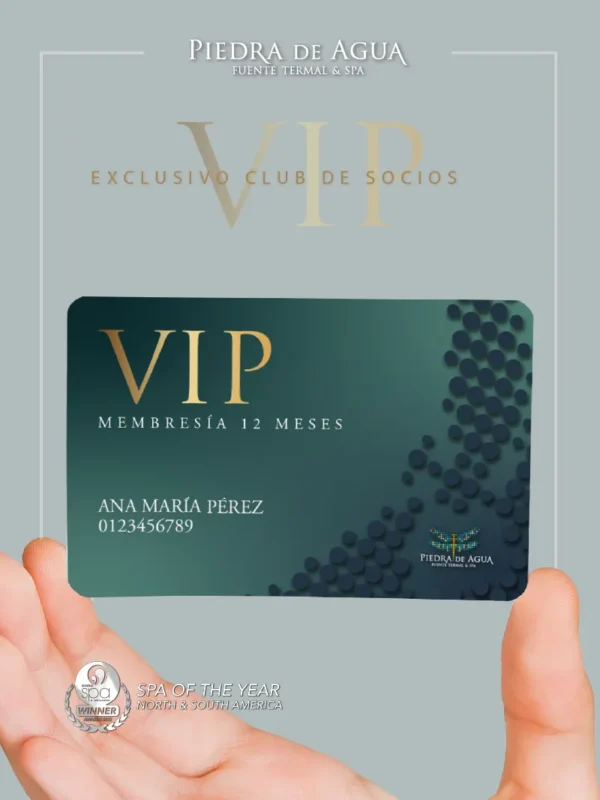 Membresía VIP - 12 Meses